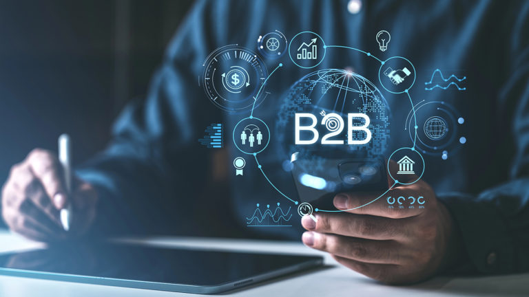e-ticaret b2b yazılımı